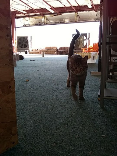 Skydiving Center «Sky Down Skydiving», reviews and photos, 5111 Aviation Way, Caldwell, ID 83605, USA