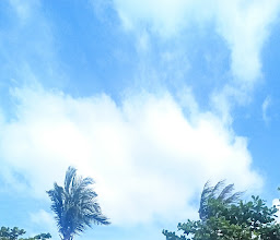 Koh Ma Beach Resort photo