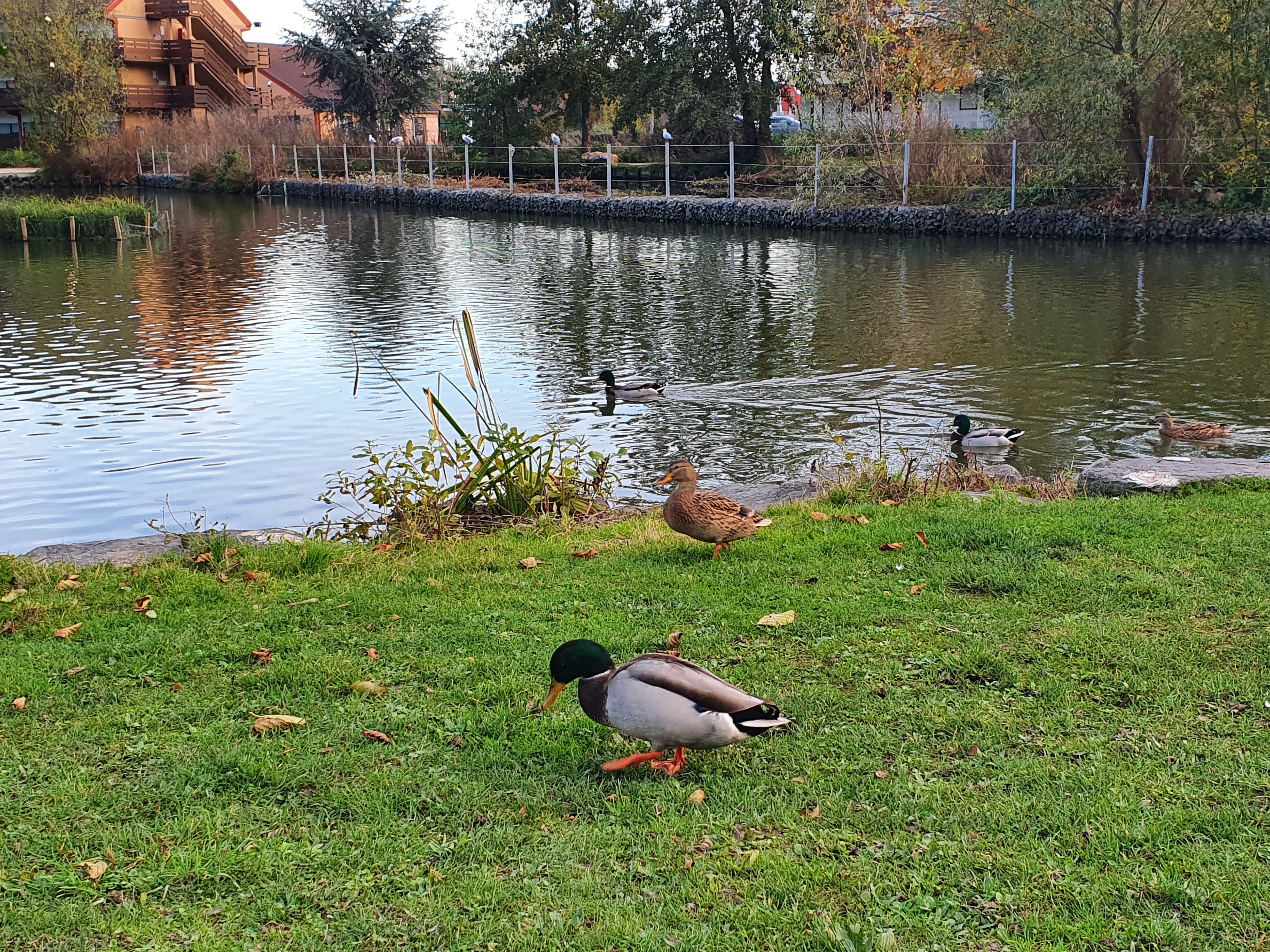 Photo n° 1 de l'avis de Flavie.o fait le 10/11/2020 à 06:58