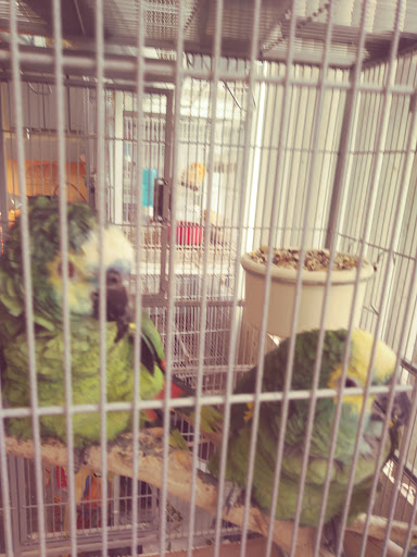 Pet Supply Store «El Granero Feed & Pet Supplies», reviews and photos, 2228 Church Ln, San Pablo, CA 94806, USA