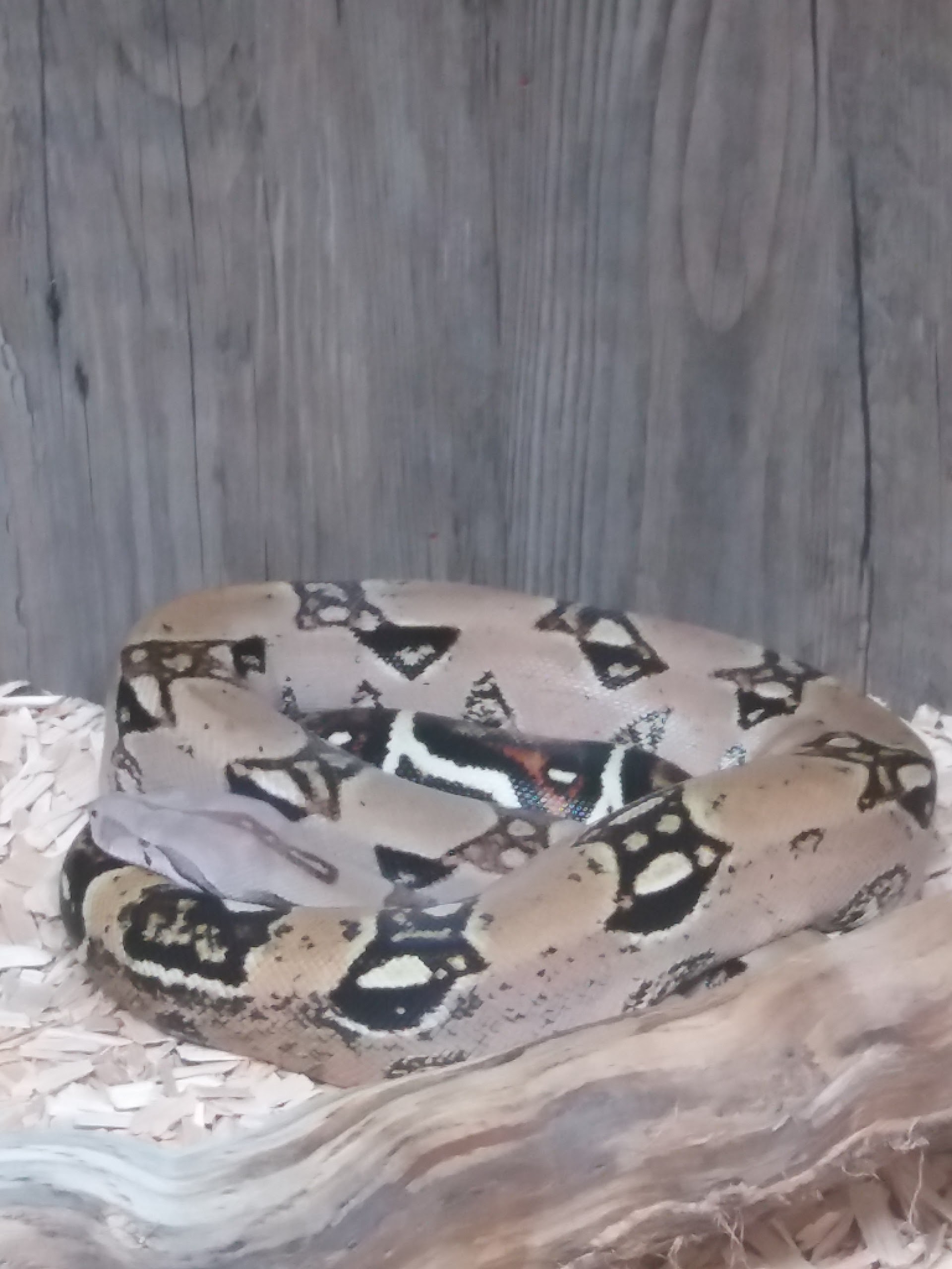 Photo n° 9 de l'avis de Damien.i fait le 21/08/2017 à 19:35