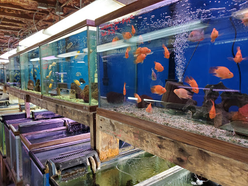 Tropical Fish Store «Keller Farms», reviews and photos, 3405 Denton Hwy, Haltom City, TX 76117, USA