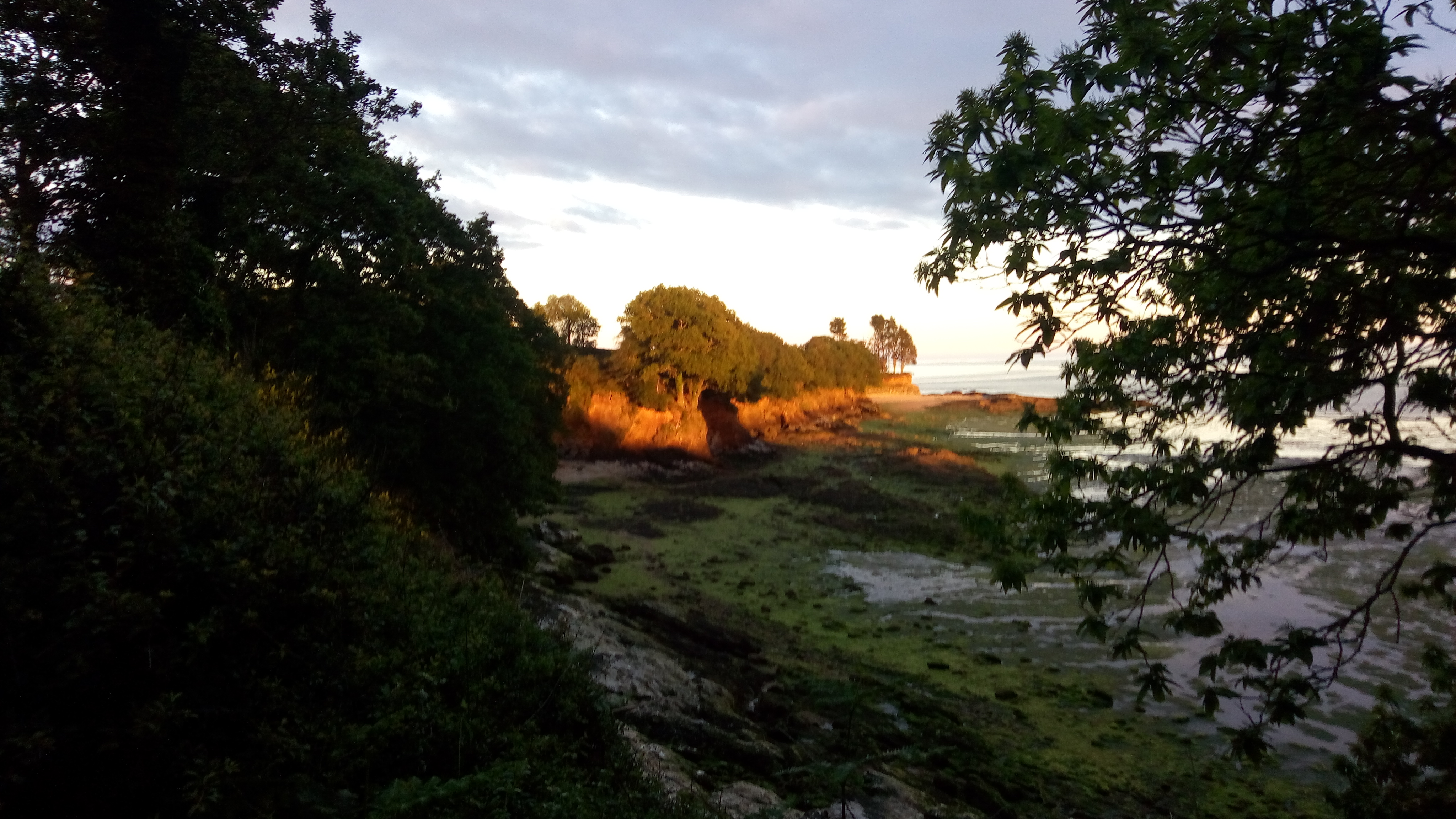 Photo n° 8 de l'avis de Greg.e fait le 02/06/2019 à 09:30