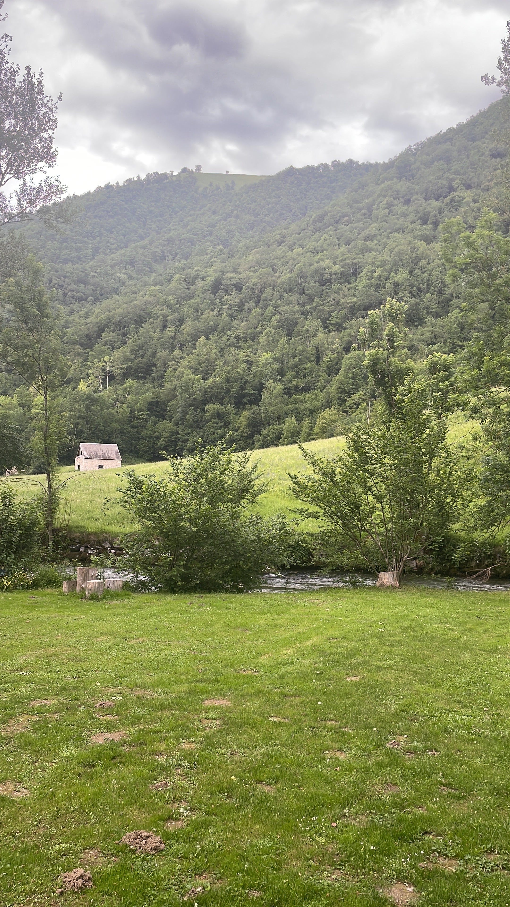 Photo n° 1 de l'avis de Guillaume. fait le 22/06/2023 à 10:56