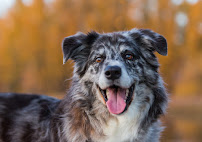 J. Devine Photography - Photo 6 - Car repair in , Kennewick