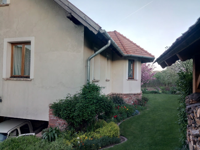 Opinii despre Global-Kert Bt. în Biatorbágy - Kertészkedő