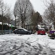 Shandon Community Garden