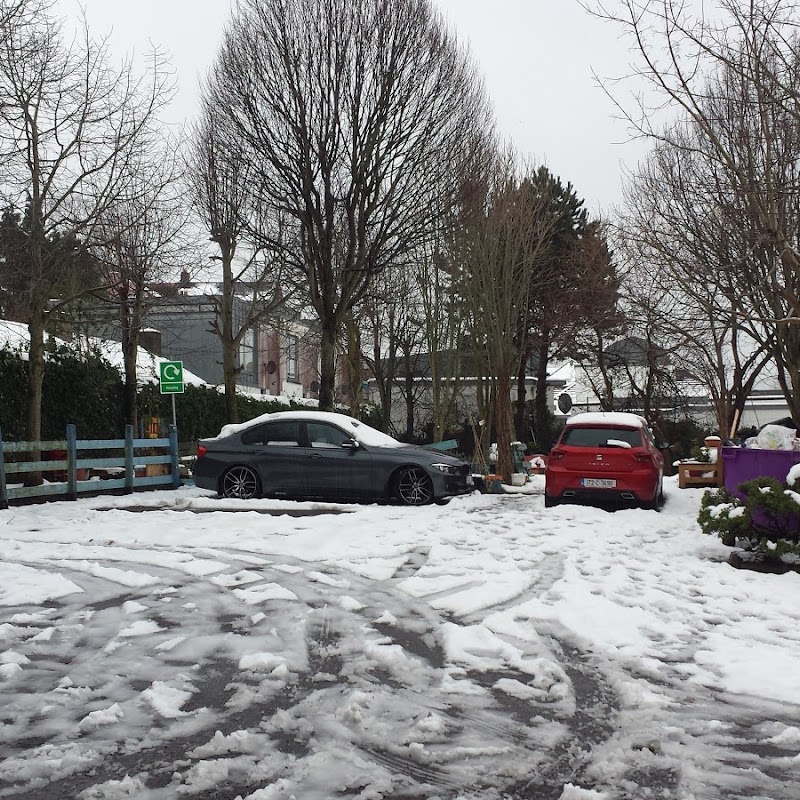 Shandon Community Garden