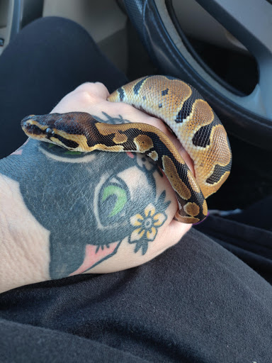 Pet Supply Store «PetSmart», reviews and photos, 12046 Paul Mayer Ave, Bridgeton, MO 63044, USA