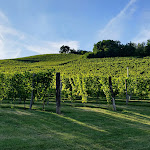 Photo n°16 de l'avis de sergio.a fait le 26/07/2020 à 01:04 sur le  MonteOliveto di Casa' à Monticello d'Alba