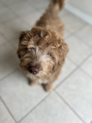 Pet Supply Store «PetSmart», reviews and photos, 4516 U.S. 9, Howell, NJ 07731, USA