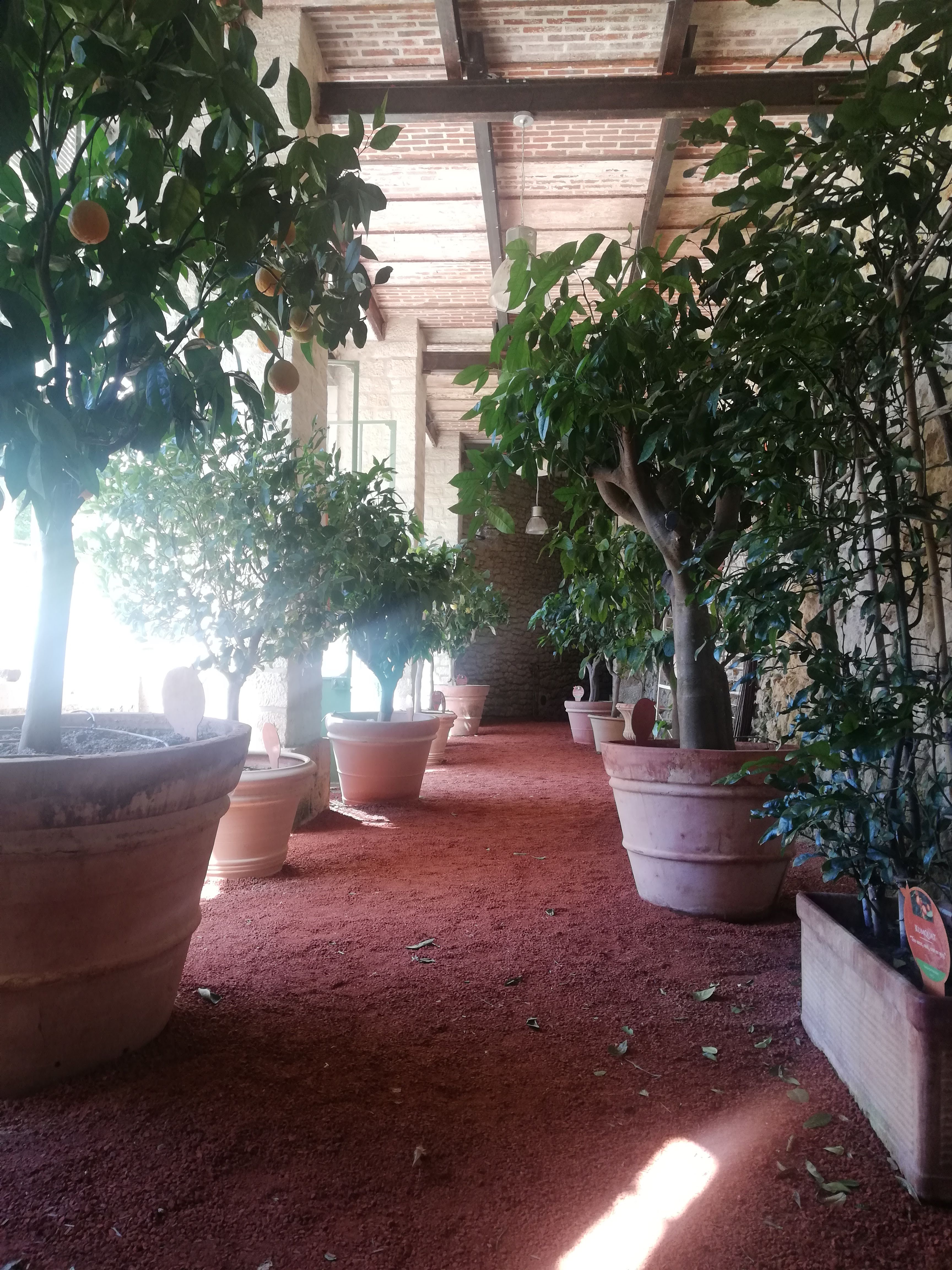 Photo n° 2 de l'avis de Catherine.o fait le 05/08/2020 à 06:31