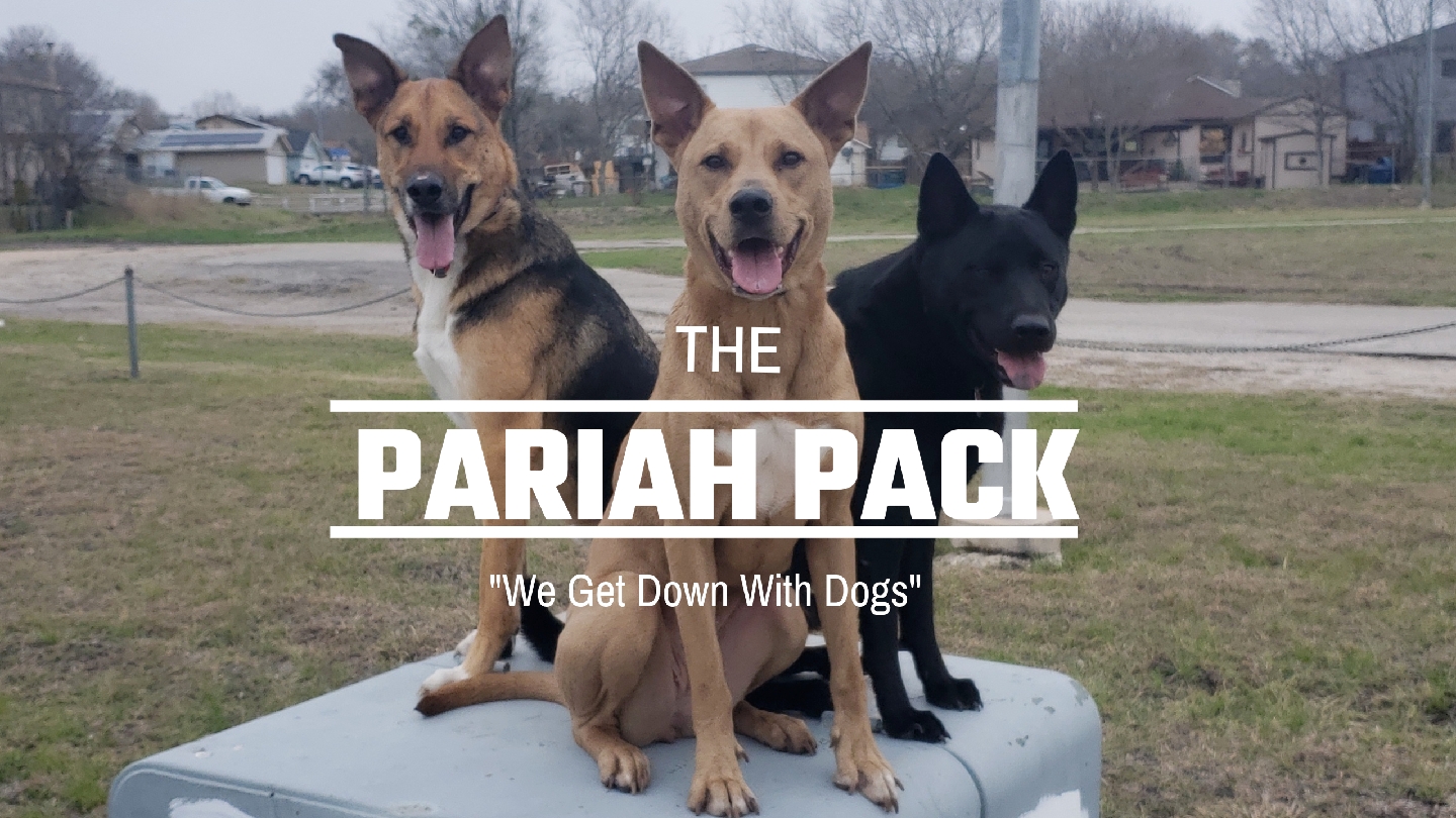 The Pariah Pack