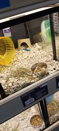 Pet Supply Store «PetSmart», reviews and photos, 1285 Johnson Ferry Rd, Marietta, GA 30068, USA