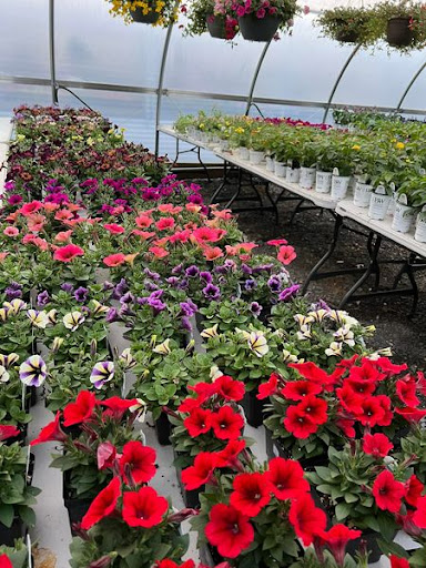 Florist «TG Designs», reviews and photos, 19231 Longmeadow Rd, Hagerstown, MD 21742, USA