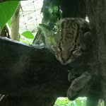 Photo n°7 de l'avis de Wolfgang.e fait le 28/08/2018 à 16:47 sur le  Pepperhouse à Leipzig