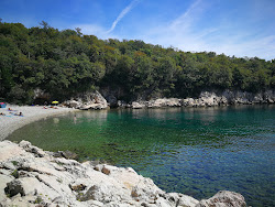Svezanj Bay'in fotoğrafı imkanlar alanı