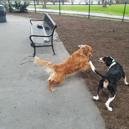 Park «East Boston Memorial Park», reviews and photos, 143 Porter St, Boston, MA 02128, USA