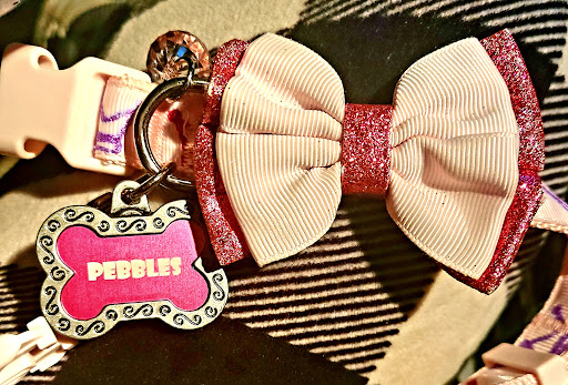 Pet Supply Store «PetSmart», reviews and photos, 1460 Koester Rd, Forsyth, IL 62535, USA