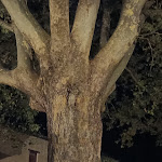 Photo n°1 de l'avis de Adriano.' fait le 26/08/2022 à 17:07 sur le  La Balestra antica hostaria à Urbino