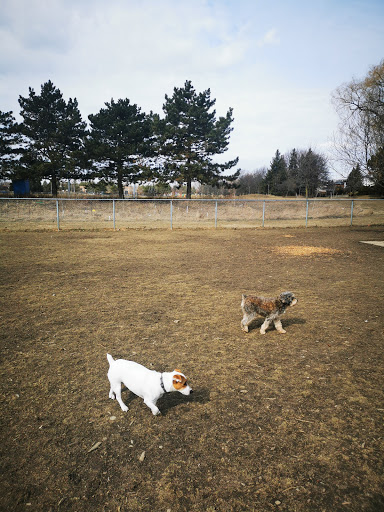 Garnetwood Park Off- Leash Dogs park
