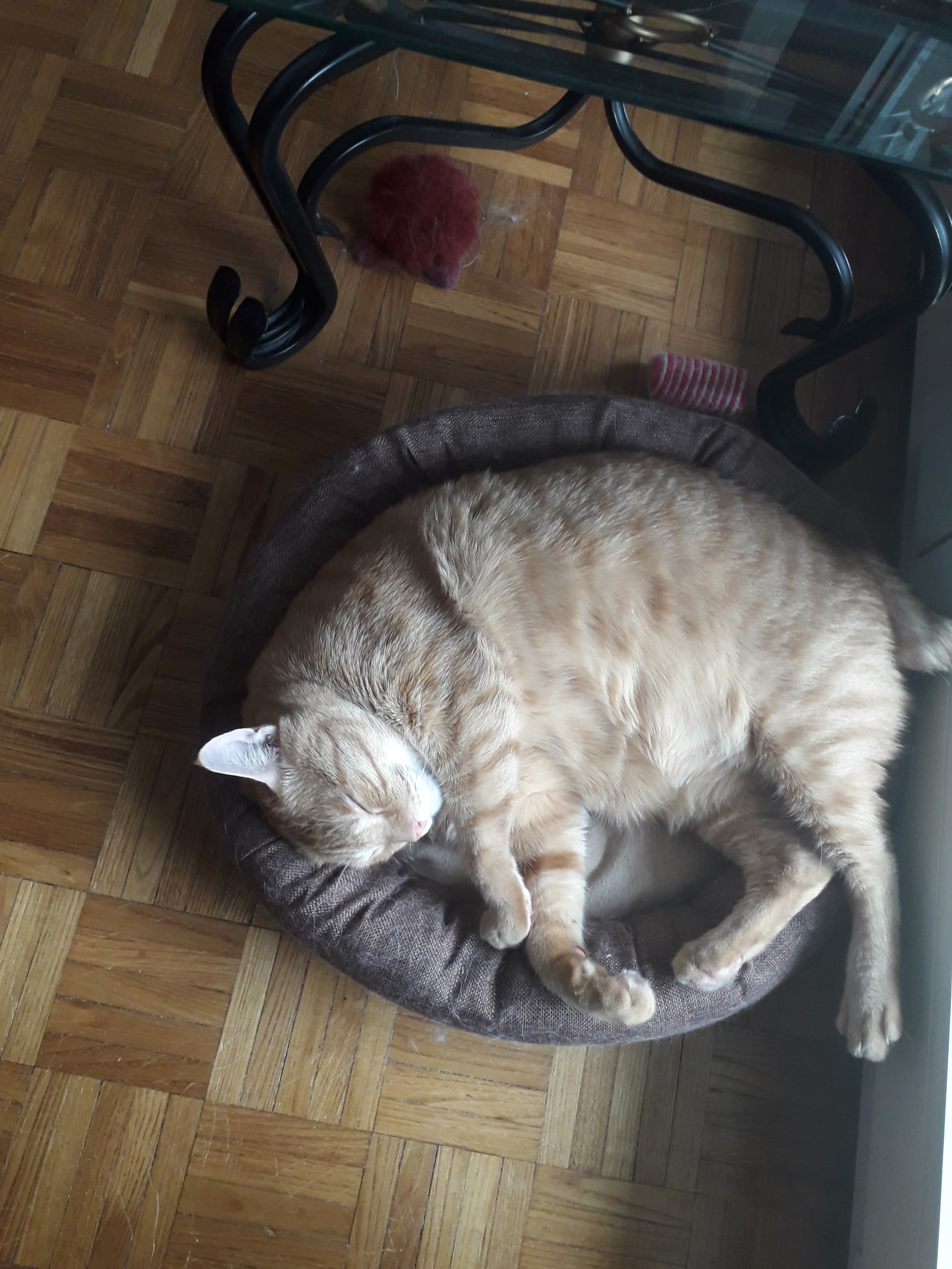 Photo n° 3 de l'avis de Kayla.b fait le 09/12/2018 à 10:02