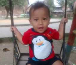 Taman Abhirupa Krian photo