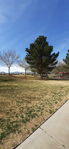 Golf Course «Rio Secco», reviews and photos, 2851 Grand Hills Dr, Henderson, NV 89052, USA