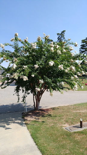 Cemetery «Eternal Hills Memory Gardens», reviews and photos, 3700 Stone Mountain Hwy, Snellville, GA 30039, USA
