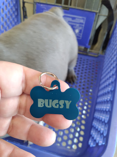 Pet Supply Store «PetSmart», reviews and photos, 1417 W Interstate 240 Service Rd, Oklahoma City, OK 73159, USA