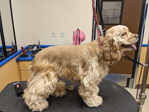 Petsense - photo 7