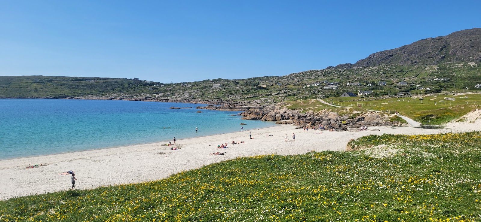 Foto von Dogs Bay Beach mit geräumige bucht