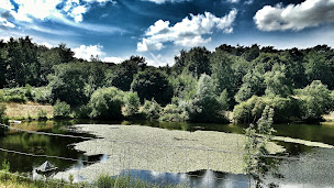 Photo n°10 de Maison des forêts à Saint-Étienne-du-Rouvray à Saint-Étienne-du-Rouvray ()