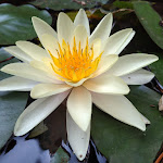 Photo n°1 de l'avis de valter.a fait le 13/09/2020 à 18:50 sur le  Ristorante La Badiola da Antonio à Fara in Sabina