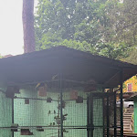 Photo n°13 de l'avis de Eugenio.o fait le 22/04/2024 à 17:46 sur le  Bar Lux - Ristorante à Vittorio Veneto