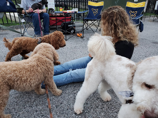 Wine Store «Wine Bin», reviews and photos, 8390 Main St #1, Ellicott City, MD 21043, USA