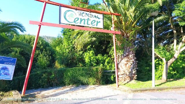 BONSAI CENTER SOPELANA | Venta, diseño y cuidado de Bonsáis | Escuela de Bonsai
