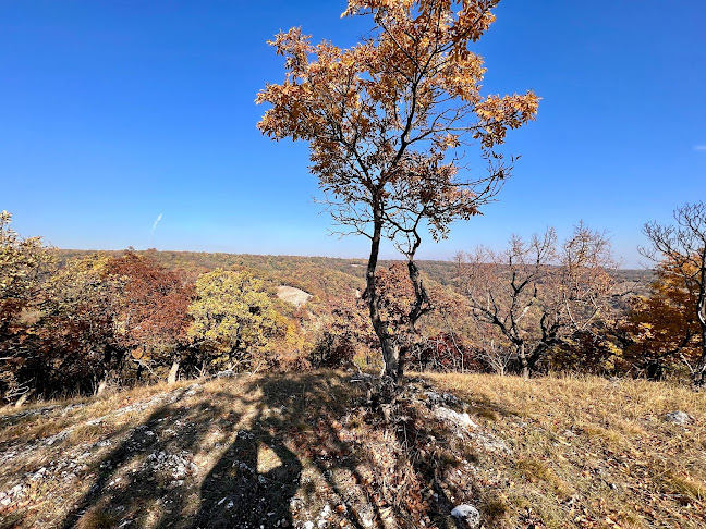 Tűzrakóhely - Étterem