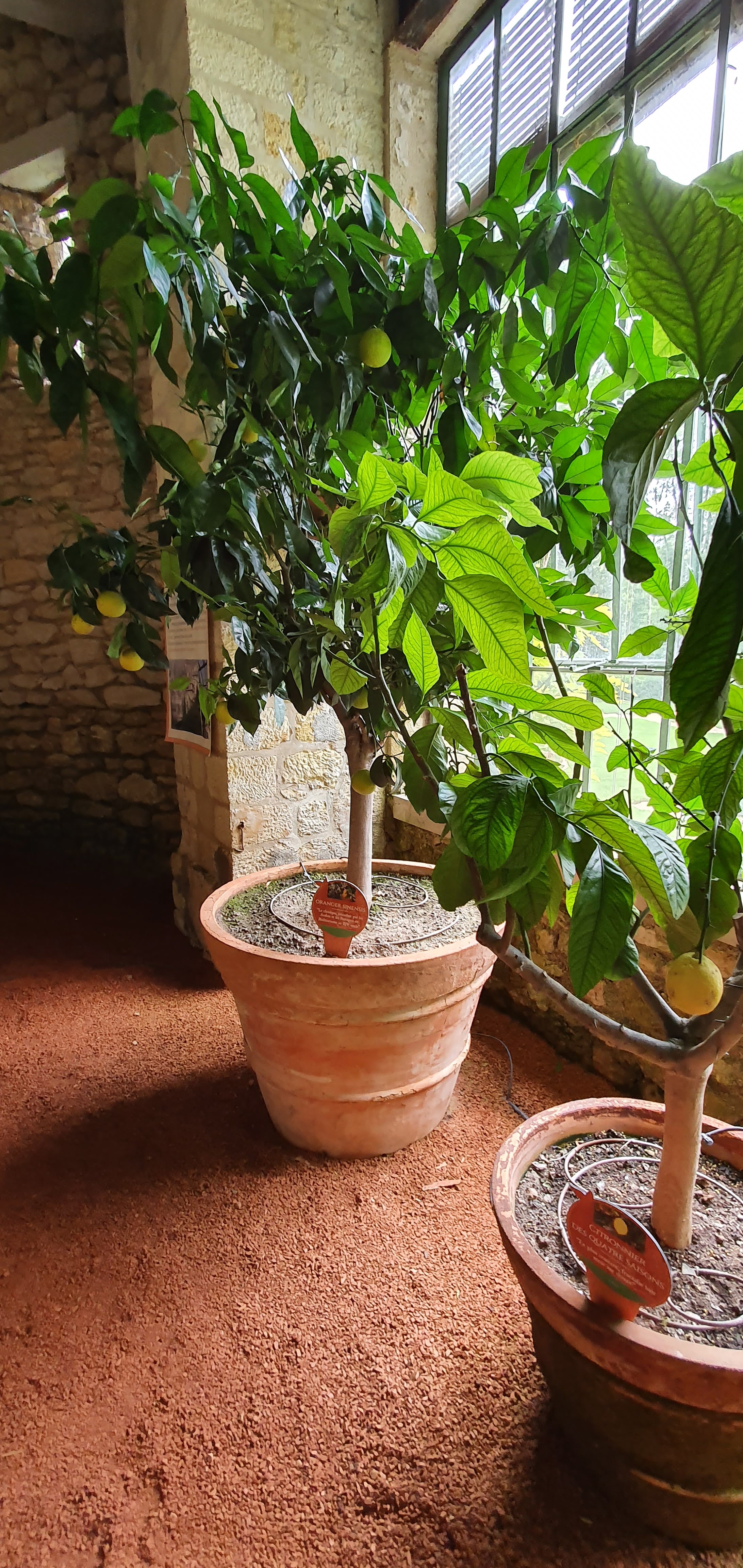 Photo n° 8 de l'avis de Dominique.u fait le 01/08/2021 à 09:33