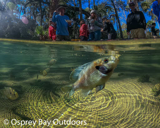 Canoe & Kayak Tour Agency «Osprey Bay Outdoors», reviews and photos, 160 N Belcher Rd, Clearwater, FL 33765, USA