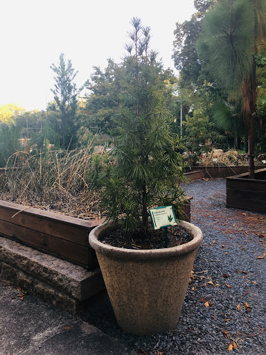 Planetarium «Fernbank Science Center», reviews and photos, 156 Heaton Park Dr, Atlanta, GA 30307, USA