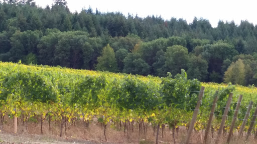 Winery «Walnut Ridge Vineyard», reviews and photos, 94739 Turnbow Ln, Junction City, OR 97448, USA