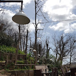 Photo n°2 de l'avis de Daniele. fait le 01/04/2018 à 16:50 sur le  Franchino Garage à Manciano