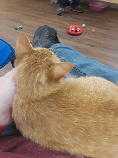 Pet Supply Store «PetPeople», reviews and photos, 3330 Washtenaw Ave, Ann Arbor, MI 48104, USA