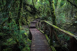 Tantauco National Park image