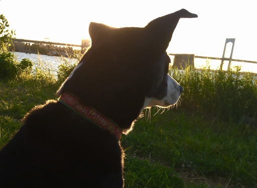 Park «Little Bay Park», reviews and photos, Cross Island Pkwy, Whitestone, NY 11357, USA