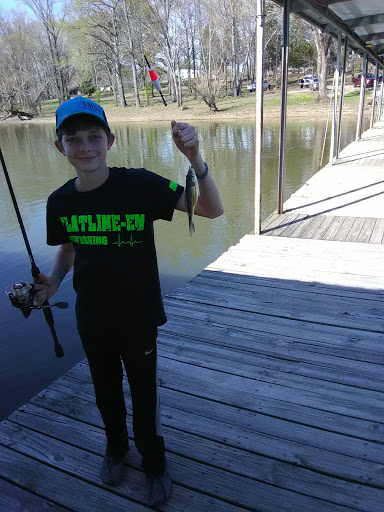 Resort «Mansard Island Resort & Marina», reviews and photos, 60 Mansard Island Dr, Springville, TN 38256, USA