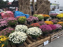 Southern States - Lexington Cooperative - Lexington Branch - Photo 3 - Car repair in Lexington, KY, Lexington