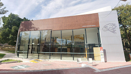 Jorge Matute Remus Gymnasium (Building J) - CETI Colomos, Edificio J, 44638 Guadalajara, Jal., Mexico