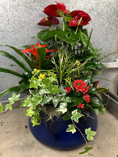 Florist «Skyway Creations», reviews and photos, 1407 S 8th St, Colorado Springs, CO 80905, USA